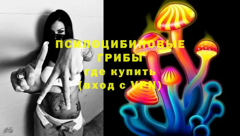 Псилоцибиновые грибы ЛСД  Кирс 